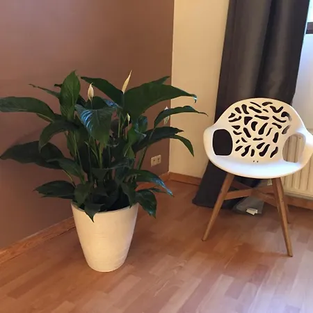 Apartment Daily -